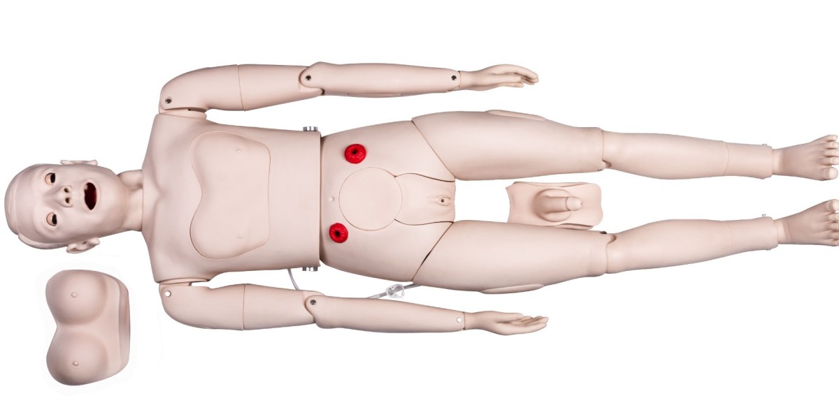 The Importance of Medical Training Mannequins in Doctor Education